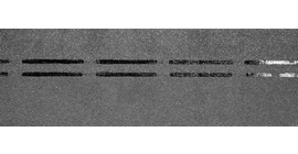 Коньково-карнизная черепица Docke Premium, Черника